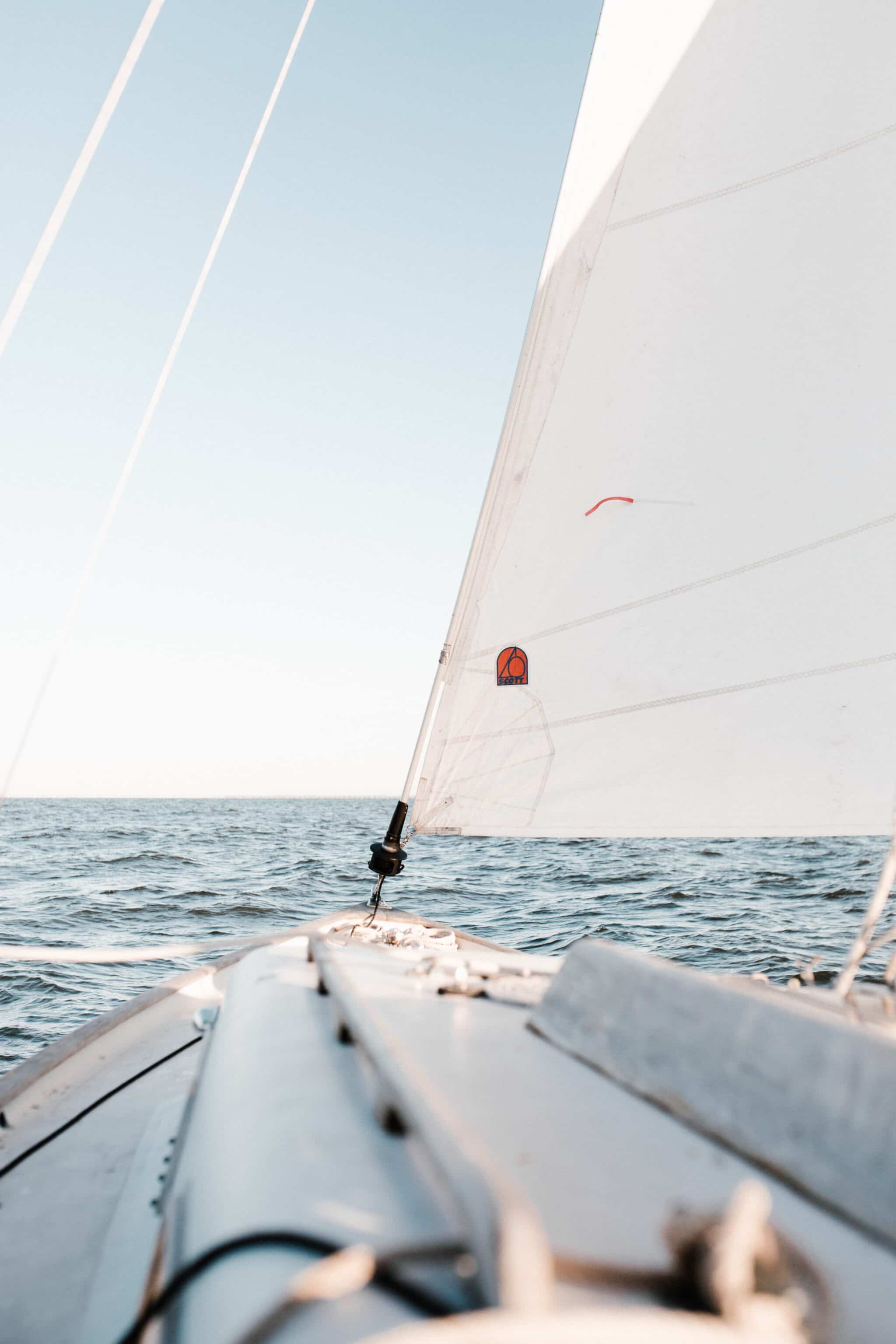 andrew-neel-296630-unsplash andrew-neel-296630-unsplash