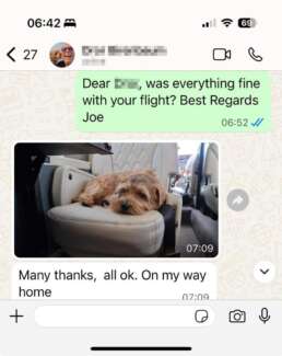 Screenshot of WhatsApp Chat