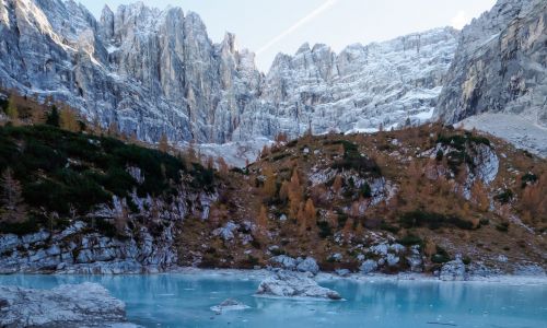 cortina cortina
